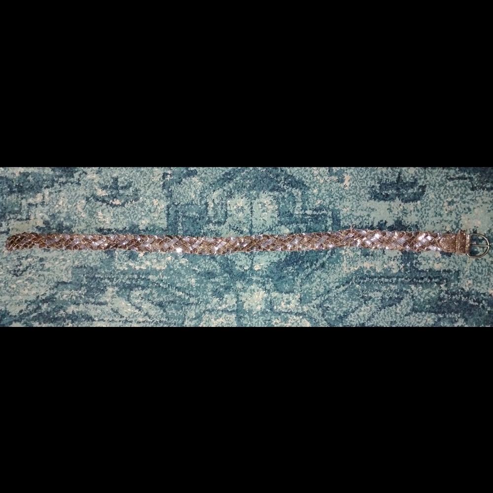 Silver&Bronze Sequins Braided Belt - Picture 4 of 4